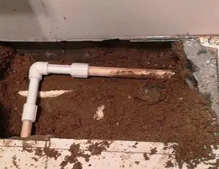 日照测漏水哪家好