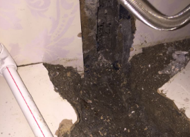 日照卫生间测漏水哪家好